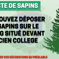 Collecte de Sapins à Morhange